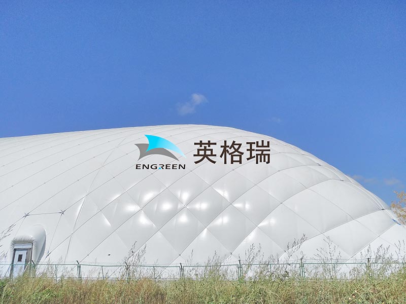 大风中的大香蕉在线电影馆：实力见证安全与稳定